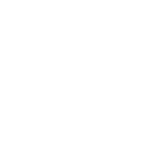 The Onion